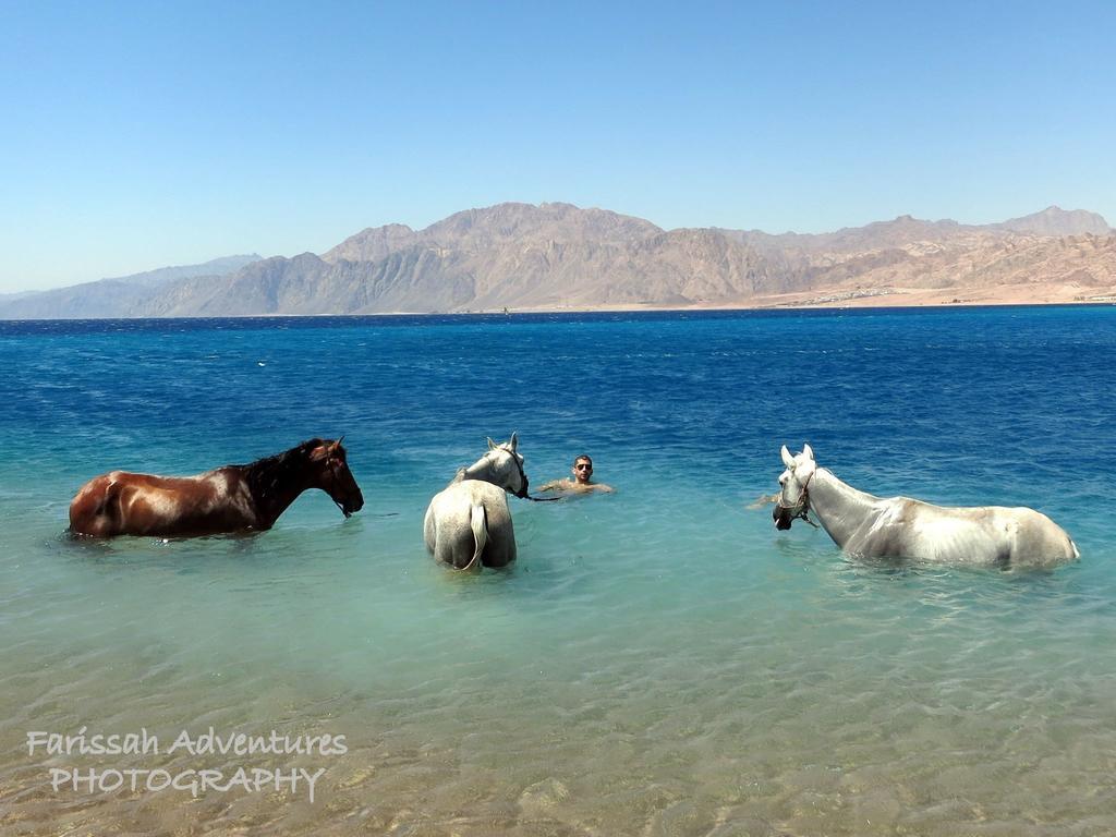 Blue Beach Club Dahab Bagian luar foto