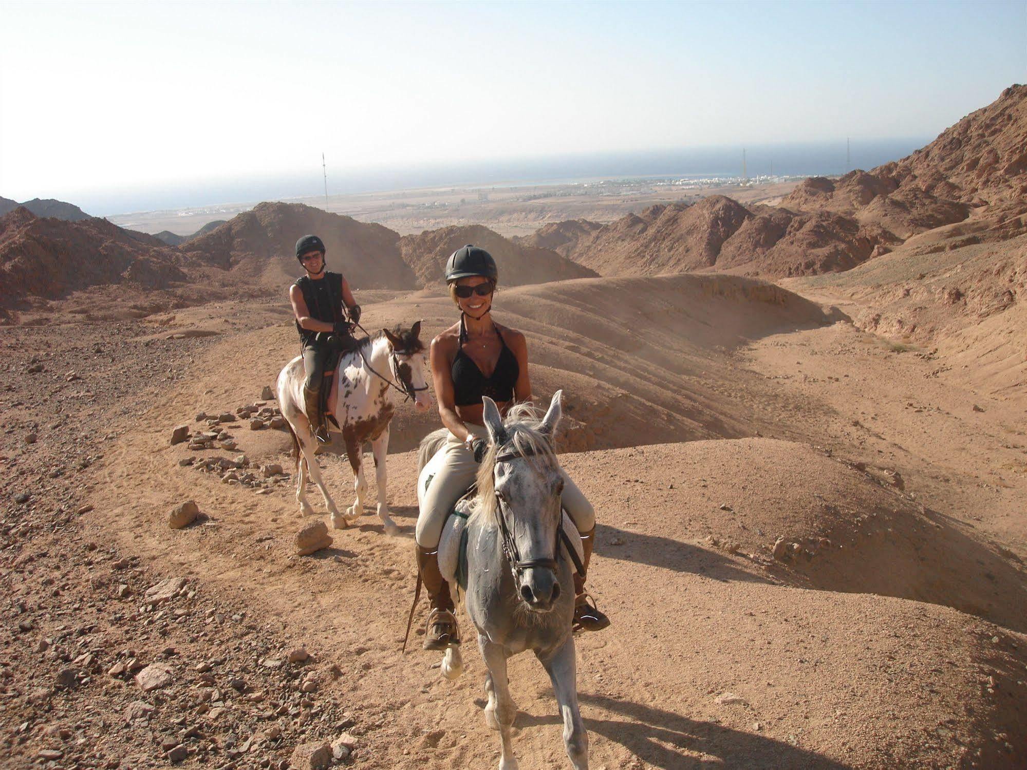 Blue Beach Club Dahab Bagian luar foto